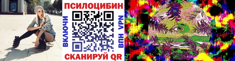 Псилоцибиновые грибы Cubensis купить закладку Усть-Катав